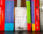 Dumbledore book nook holding Golden Snitch 3D printed Harry Potter book nook wizarding shelf insert Magical bookshelf décor featuring Dumbledore figure Fantasy book nook with Dumbledore and Snitch design Wizarding world book nook gift for Harry Potter fans