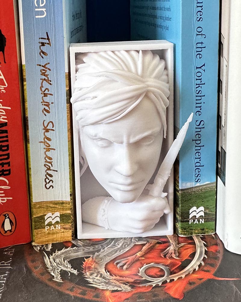 Ellie - The Last Of Us - Book Nook