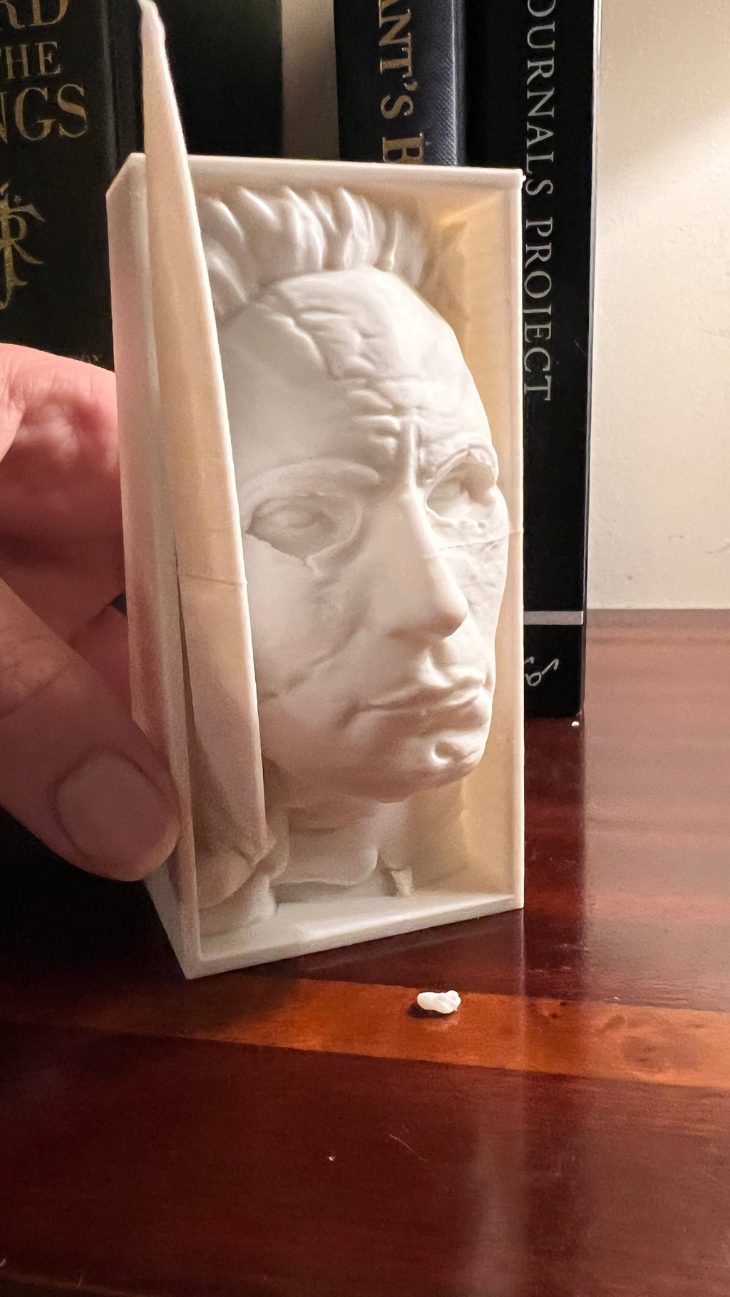 Michael Myers - Halloween - Book Nook