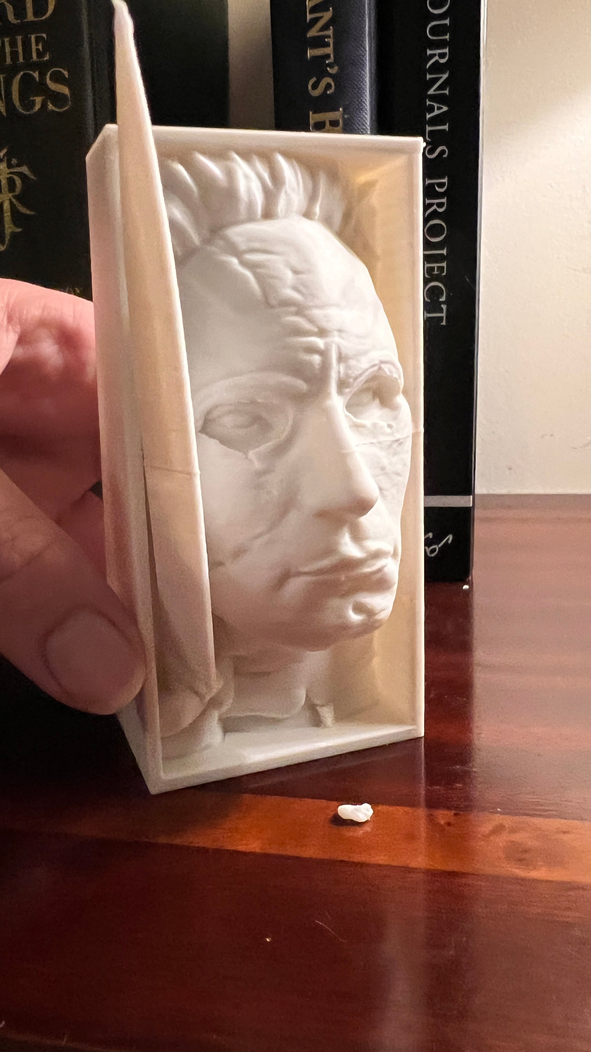 Michael Myers - Halloween - Book Nook