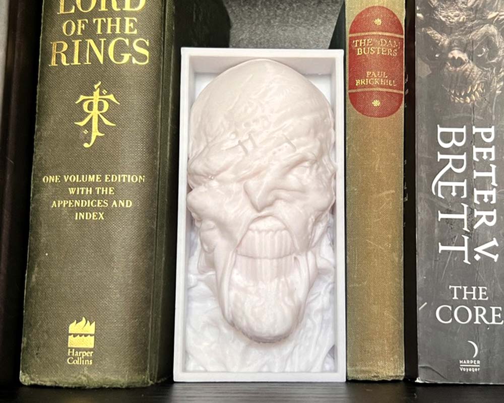Nemesis book nook Resident Evil inspired shelf insert 3D printed survival horror bookshelf décor Nemesis Horror book nook with stitched Nemesis mutant face Resident Evil Nemesis book nook gift for gamers Creepy video game villain bookshelf insert Nemesis