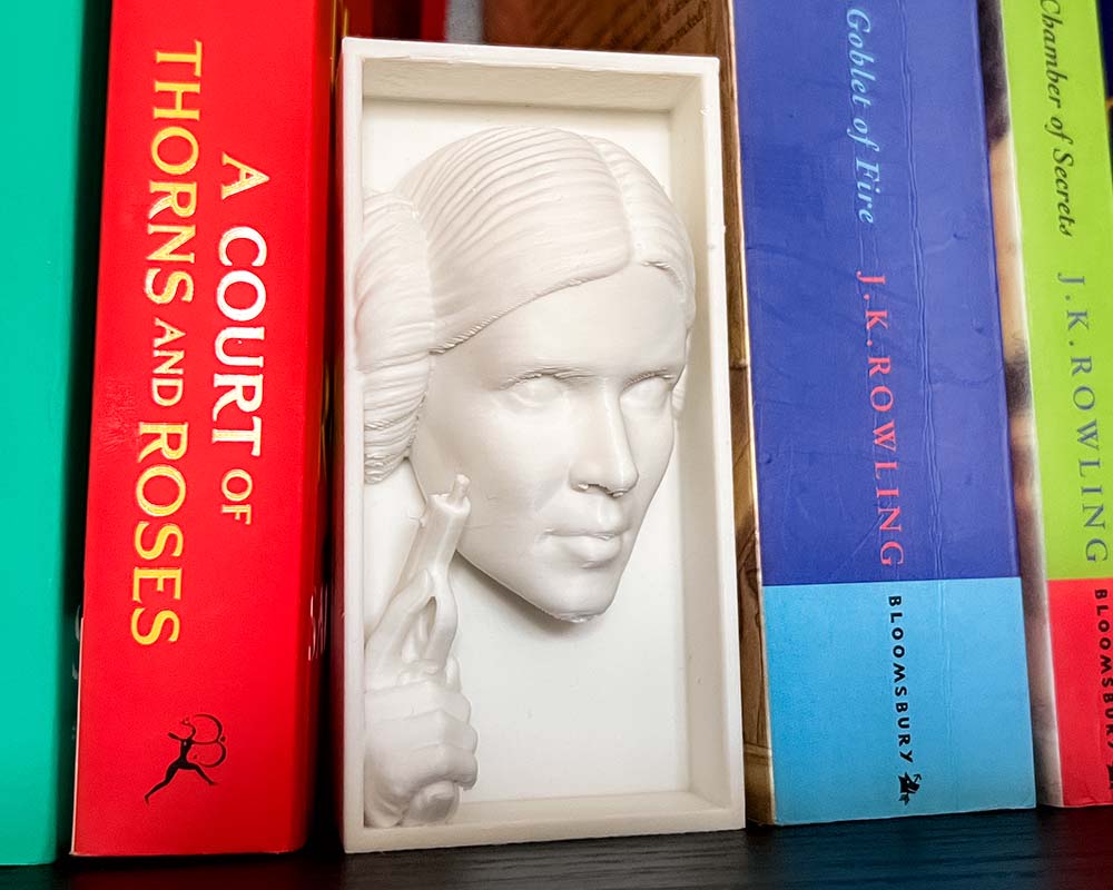 Princess Leia book decor for Star Wars fans